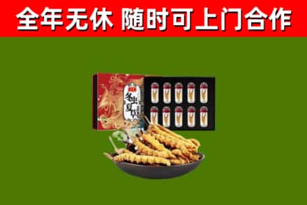 龙圩区回收冬虫夏草价格